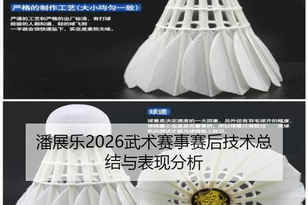 潘展乐2026武术赛事赛后技术总结与表现分析